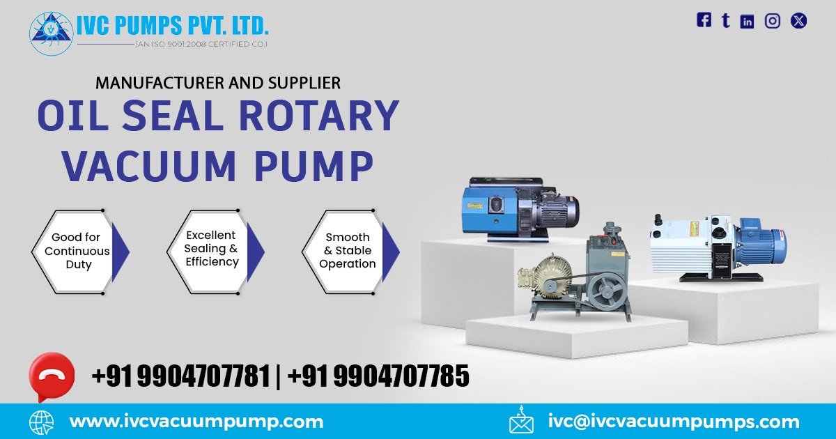 Oil Seal Rotary Vacuum Pump in Egypt